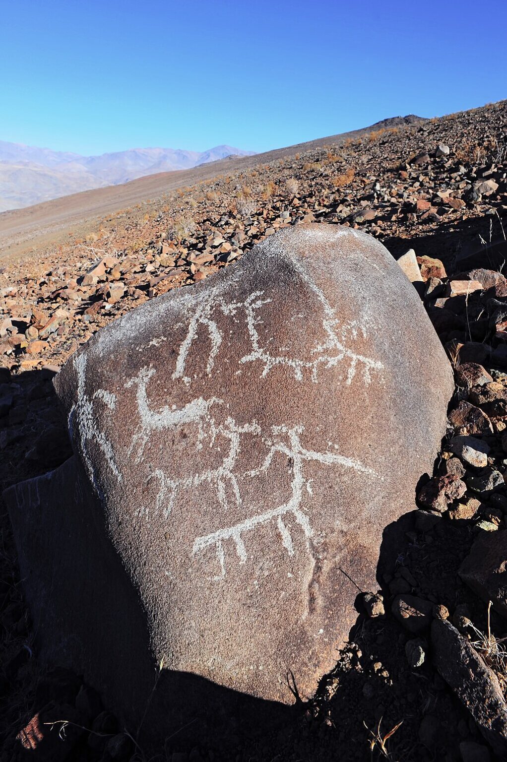 Llama Petroglyphs