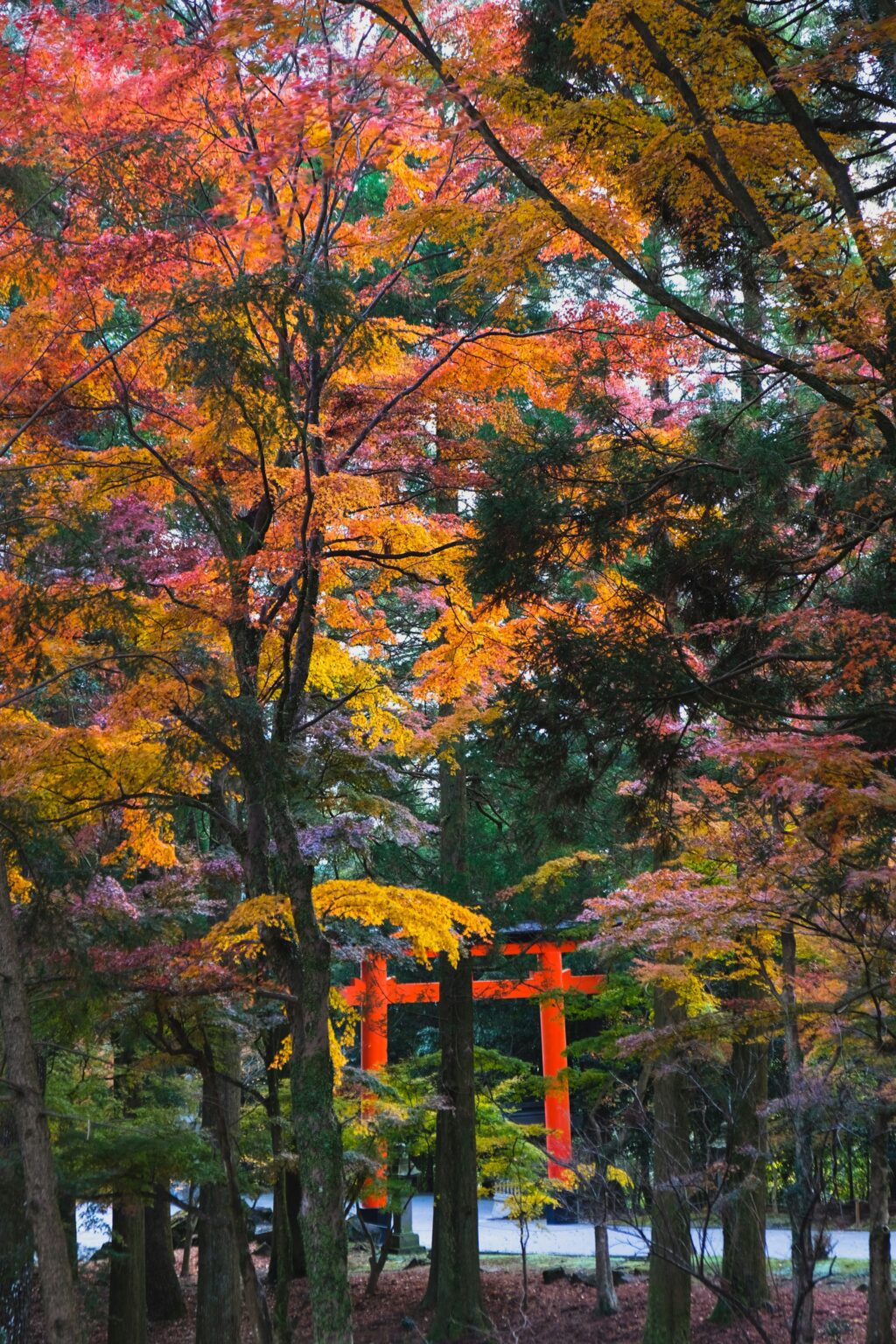 Kirishima Jingu in Kagoshima