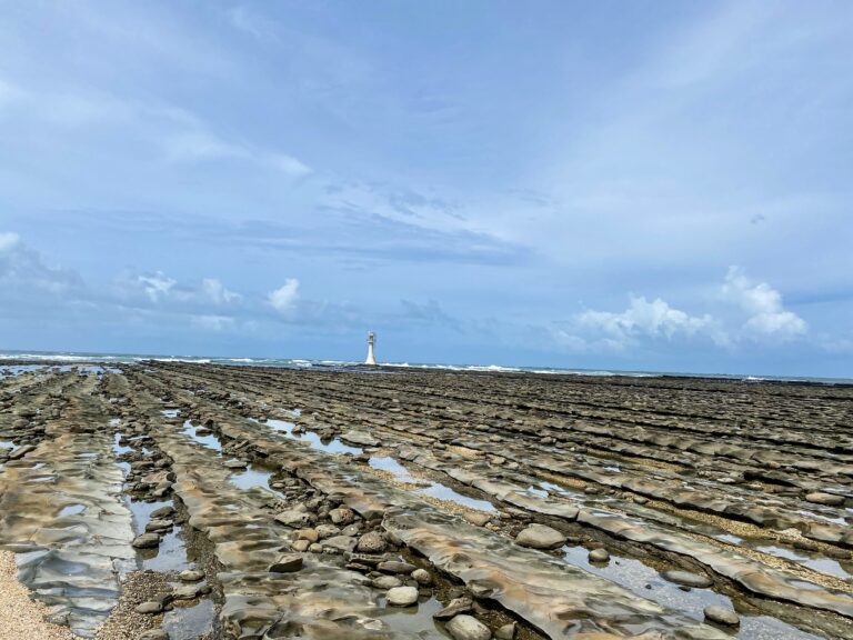 Miyazaki Things to Do Travel Guide