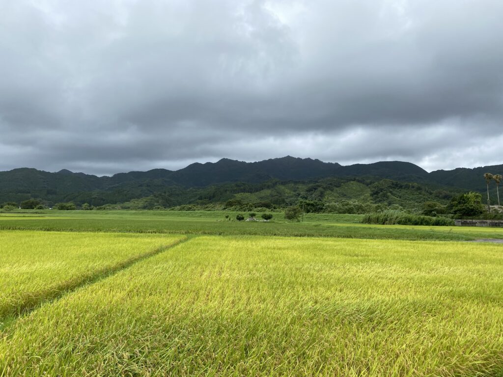Miyazaki Countryside