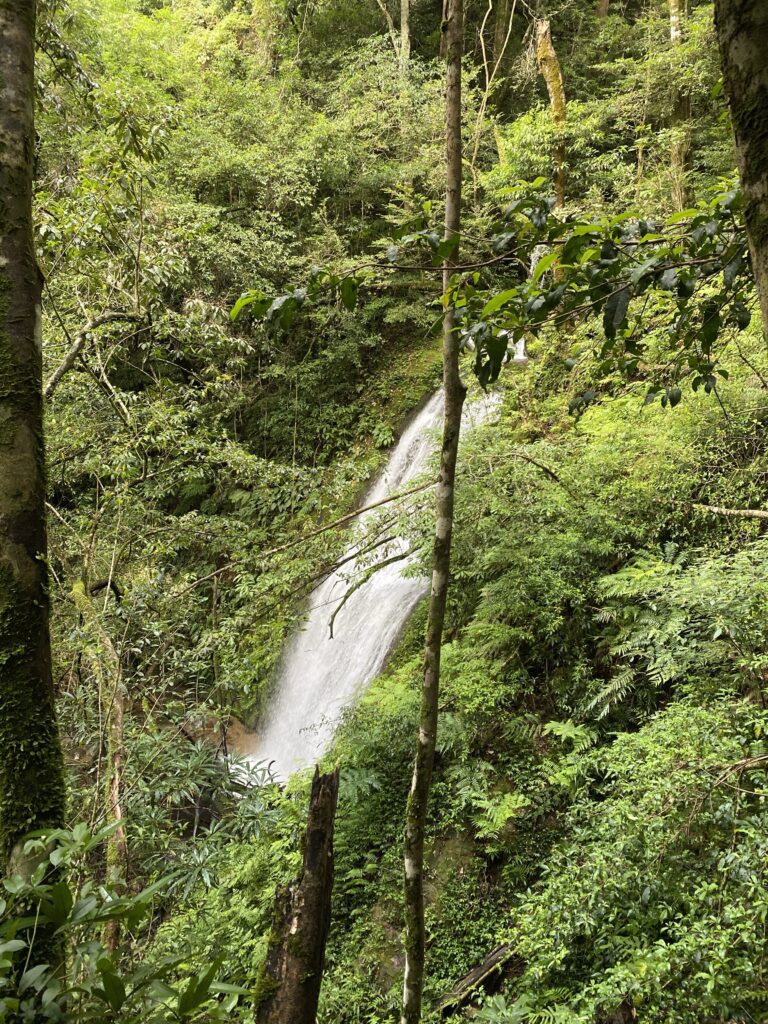 Kaeda Valley Hike