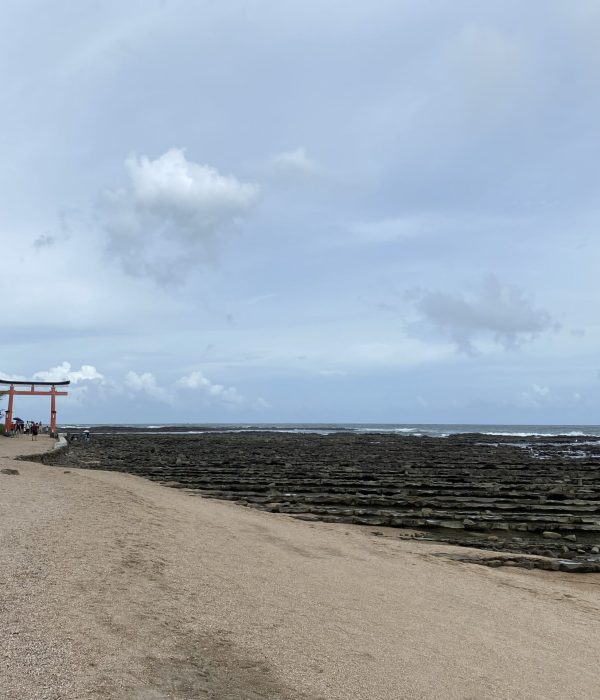 Aoshima Island Things to Do Travel Guide