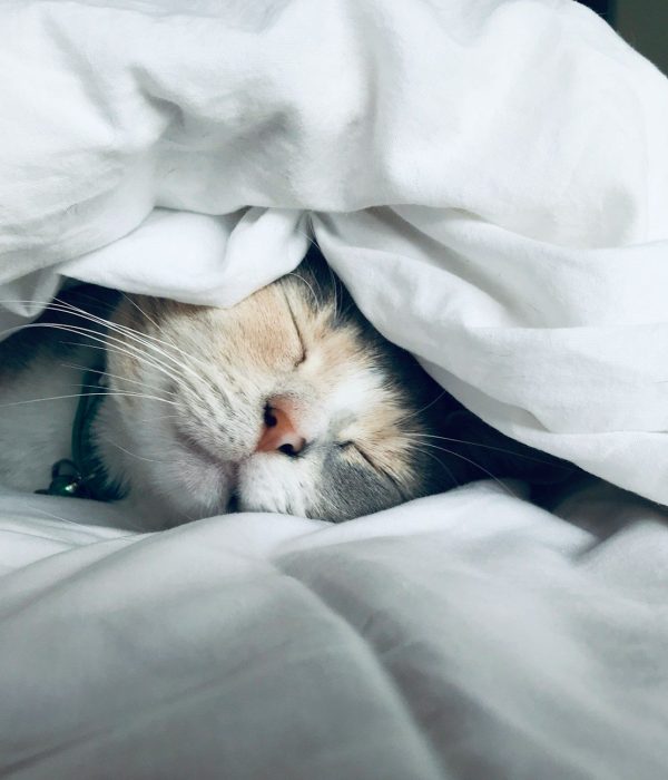 Best Sleep Hygiene Tips