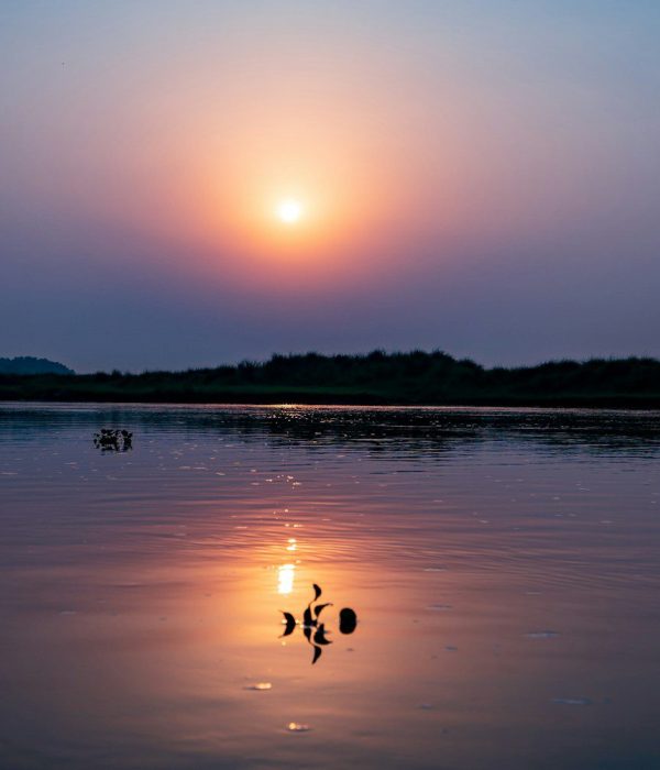 Chitwan Sunset