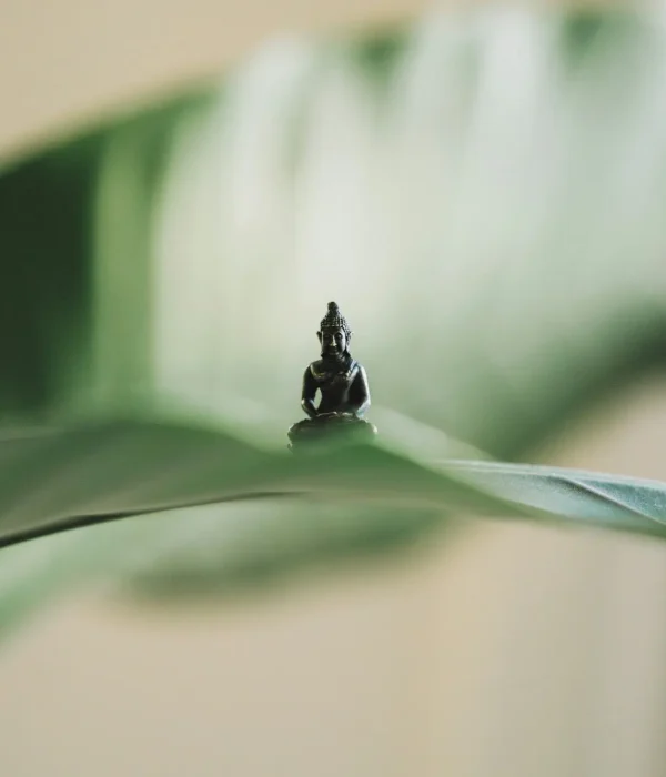 Eight Consciousnesses