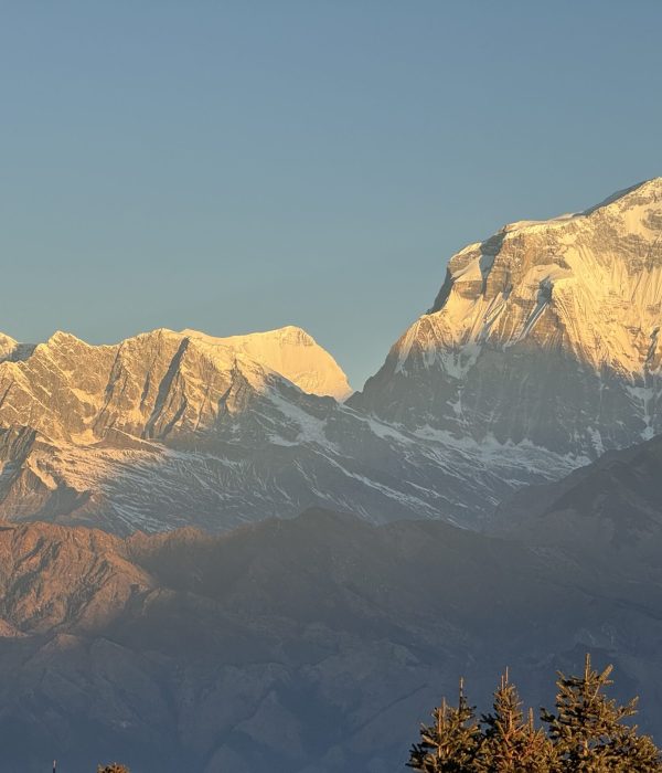Ghorepani Poon Hill Trek