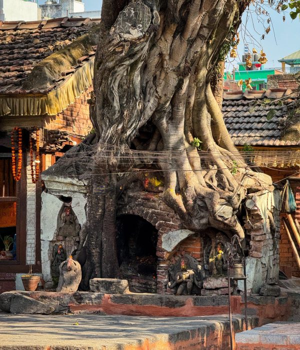 History of Kathmandu
