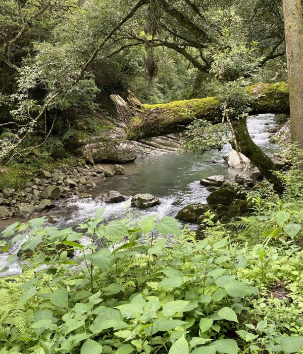Kaeda Valley