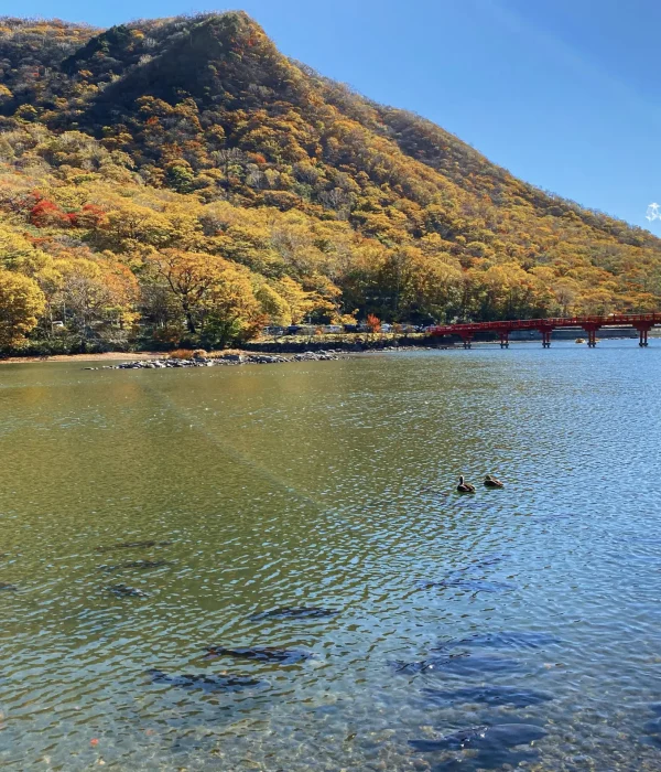 Mt. Akagi Hike