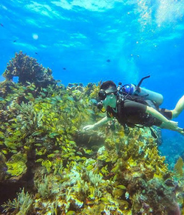 Museum of Underwater Art Cancun